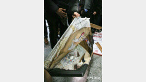 새누리 김정재, “盧 비하 연극 ‘환생경제’와 ‘더러운 잠’ 차이점?” 묻자…