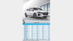 아이오닉 ‘연비 22.4km/L’ 톱…SUV 최강은 니로