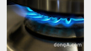 [인포그래픽]화상·화재 사고 절반 집에서 …밥솥 정수기 커피포트 ‘주의’