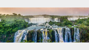 [Q매거진]“올해가 ‘꿀’연휴라니… 더할나위 없이 좋구나 ^^”