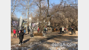 설 연휴에도 ‘포켓몬 고’… 지역 명소 북적