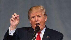 트럼프-메이 ‘양국 협력강화’ 약속 …백악관 “트럼프, 28일 아베와 통화”