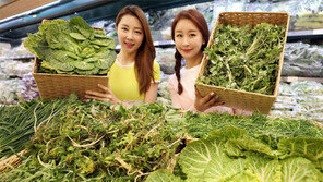 “향긋한 봄나물 나왔어요”