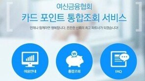 “잠자는 포인트 깨워라”…‘카드포인트 통합조회’ 접속자 폭주로 마비