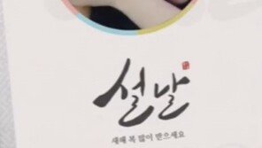 설리, 최자 아닌 다른 남자 어깨에 기대 ‘다정한 미소’