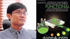 국민대 도영락 교수 연구팀, 재료과학 분야 세계 저명 학술지 표지 논문 게재