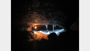 '아이폰 7로 찍다' 작품 선정…이번엔 저조도 사진이다