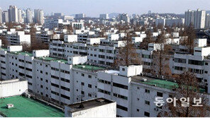 변수 많은 부동산, 솟아날 구멍은…