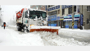 설 연휴 강원도 곳곳에 폭설… ‘눈과의 전쟁’