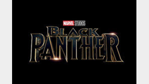 ‘블랙 팬서’ 한국 로케이션, 기대 반 우려 반