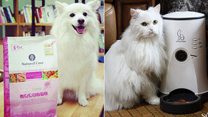 개 팔자가 상팔자…‘펫코노미’가 뜬다