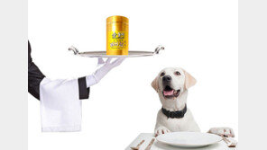 동물 전용 한방 기능성 영양 사료 ‘애둥이’ 눈길