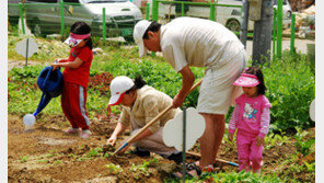 8개 도시텃밭 가꿀 3000명 모집