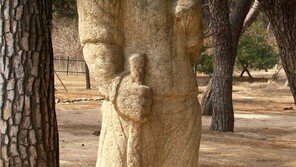 “신라 괘릉 무인상, 아라비아인 아닌 금강역사상이 모델”