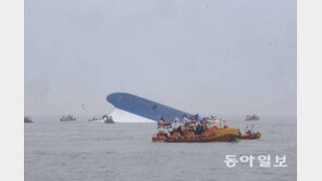 김규현 “세월호 참사 선박회사 탓…대통령에 책임 물을 수 없어”