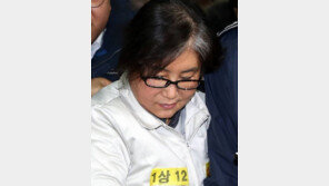 최순실 두번째 강제소환…이번엔 입가에 미묘한 미소