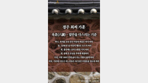 [카드뉴스] 경주 최부잣집 등친 최태민 일가