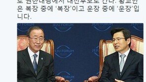 신동욱 “반기문 불출마, 황교안은 호박이 넝쿨째 굴러온 격…지지율 20% 거뜬”