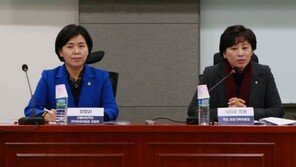 표창원 당직 정지 6개월, 민주 女의원들 “새누리, 표창원 마누라도 벗겨주마 피켓들고…”