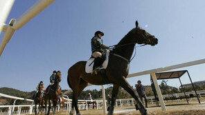 마사회, 승용마 품평 프랑스 연수 참가자 모집