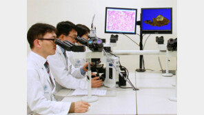 암세포만 찾아 파괴… 부작용 줄여