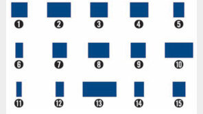 美의 비밀이 ‘황금비’? 감쪽같이 속았군요!