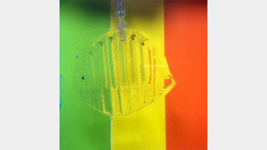 물로 보지마!… 물로 만든 투명 로봇, 물고기를 움켜잡다