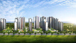 저렴한 분양가·명문 학군… 얼어붙은 투자 심리 녹인다