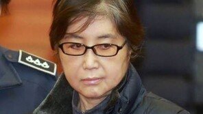 “최순실이 삼성 일가도 이간질, 홍라희보다 이재용이 쉬웠겠지”