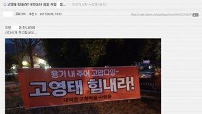 박사모 “고영태 힘내라? 국정농단의 원흉…사업하다 협박하고 안 되니까 폭로”