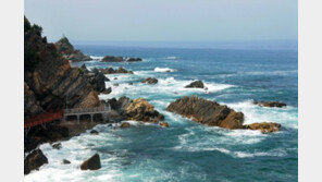 [가자! 평창으로]올해 ‘강릉 방문의 해’ 맞아 단오제 등 풍성한 행사 마련