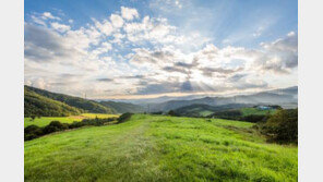 [가자! 평창으로]오대산 월정사, 대관령 초원… 힐링 찾는 관광객 발길 이어져