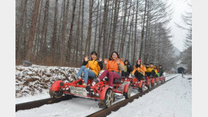 [가자! 평창으로]4년째 연간 1000만 명 방문 대한민국 최고의 명품관광지