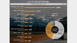 [인포그래픽]벤츠가 휩쓴 1월 수입차 시장… 일본 업체들도 고공행진 