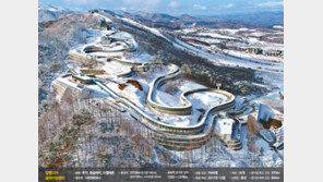 20년 전엔 바퀴썰매로 아스팔트서 훈련했었는데…