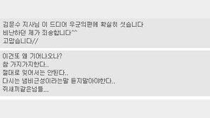 김문수, 박 대통령 탄핵 기각 주장, 박사모 “우군의 편”VS"냄비 근성“