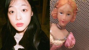 “잘가 너의 일부”…설리, 팔 잘린 인형 영상 올려 ‘소름’