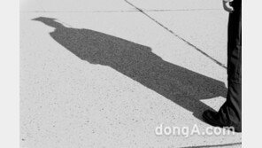 직장인 10명중 3명 “인턴근무 기업에 취업했다”