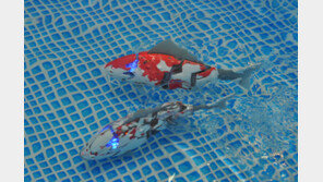 헤엄치는 로봇 물고기 아시나요