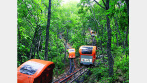 제천 ‘韓方& 대통령 로드 힐링투어’… 문체부 ‘글로컬 관광상품 사업’ 선정