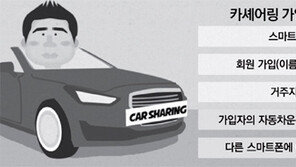 부모 ID로 1분이면 車 빌려… 10대 ‘카셰어링’ 겁없는 질주