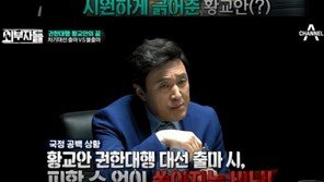 전여옥, 황교안 출마론에 “보수들이 매우 신뢰…대안으로 충분”