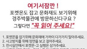 ‘포켓몬고 열풍’ 국립경주박물관 “사고예방 대책 시행”