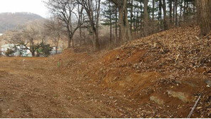 [화제의 분양현장]의왕청계역 역세권 낮은 임야