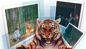 [뉴스인사이드] 생생한 CG로 시청자 마음 훔친 ‘역적’