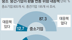 [단독]중소중견기업 83% ‘환율’ 무대책