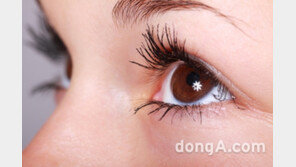 속눈썹 접착제 11개 제품서 유해물질 최대 2,180배 초과 검출