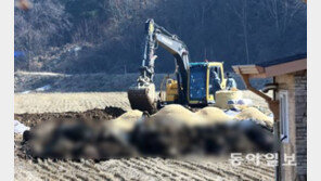 농림부 관계자 “물백신? 농가에서 구제역 백신 접종 소홀히 한 부분 있어보여”