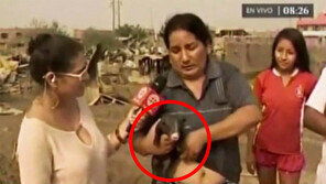 생방송 인터뷰 女, 돌연 가슴드러내고 돼지에게 수유…기자 깜짝!