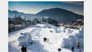 [엄마·아빠 어디가] 대관령 눈꽃축제